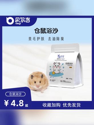 倉鼠浴沙 除臭香氛的藝術與注意事項