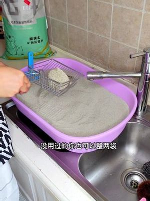 鏟屎官必看！20斤裝小顆粒貓砂 除臭結團雙優，寵物用品推薦